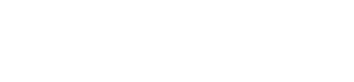 .SE.NET